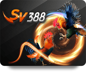 M88 สภาพคล่อง: เปรียบเทียบกับเว็บไซต์การเดิมพันอื่น ๆ